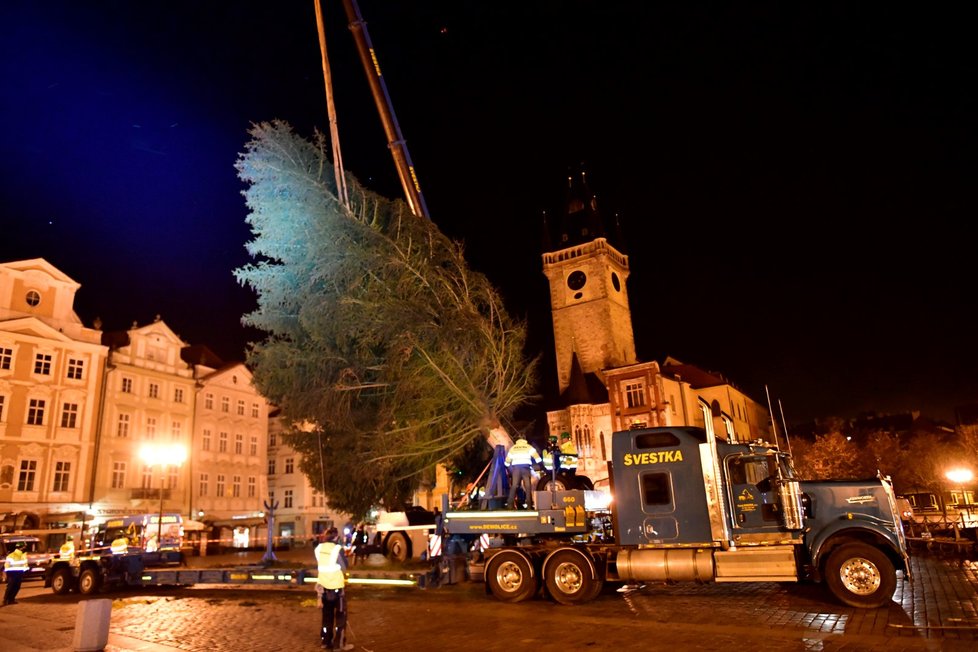 Vánoční strom na Staroměstském náměstí se vztyčil v úterý 24. listopadu 2020.