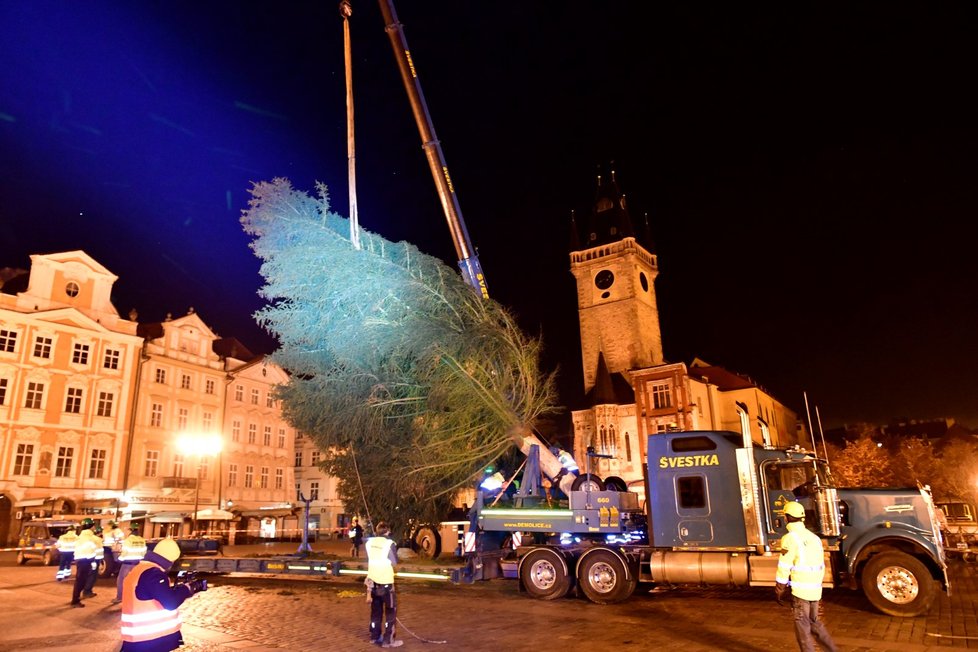 Vánoční strom na Staroměstském náměstí se vztyčil v úterý 24. listopadu 2020.