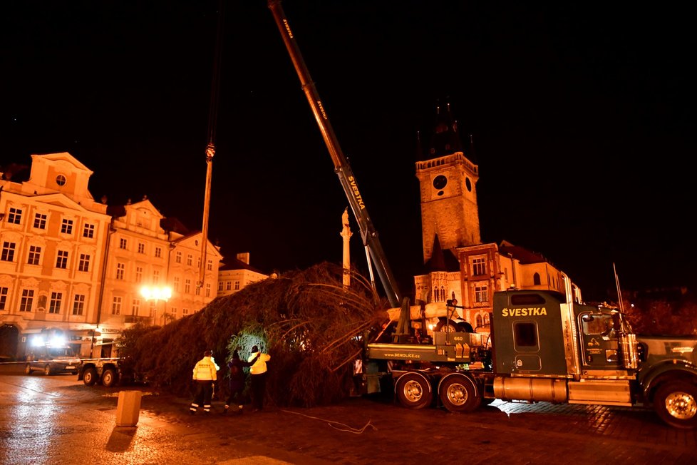 Vánoční strom na Staroměstském náměstí se vztyčil v úterý 24. listopadu 2020.