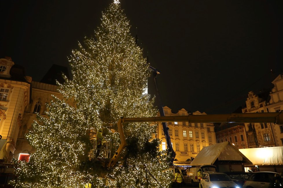 Staroměstské náměstí s rozsvíceným stromem. (25. listopadu 2021)
