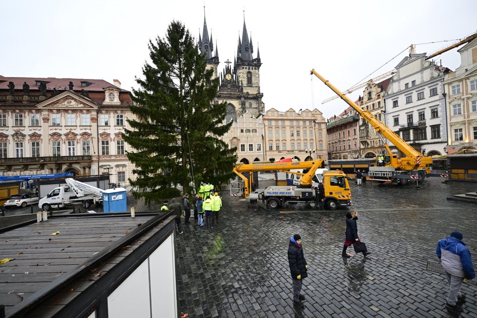 Vánoční strom na Staroměstském náměstí. (28. listopadu 2023)