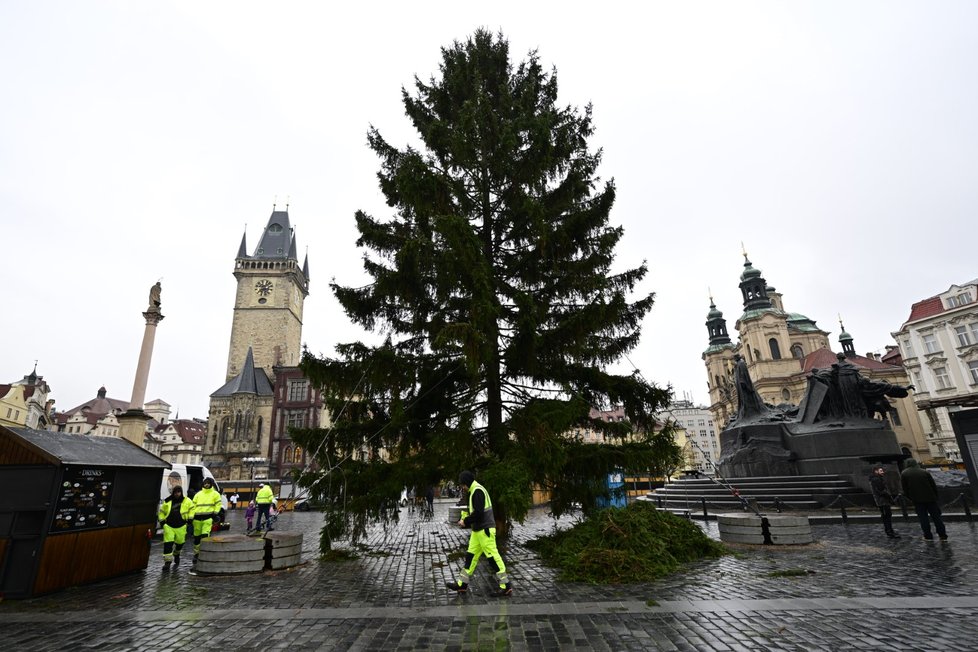 Vánoční strom na Staroměstském náměstí. (28. listopadu 2023)