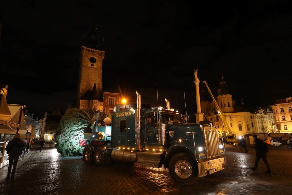 Vánoční strom pro Prahu dorazil v noci na 22. listopadu 2021 do centra Prahy, pracovníci THMP ho následně vztyčili.