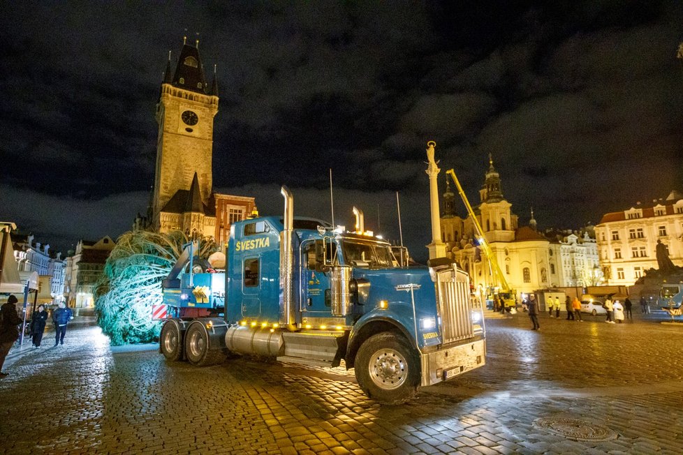 Vánoční strom pro Prahu dorazil v noci na 22. listopadu 2021 do centra Prahy, pracovníci THMP ho následně vztyčili.