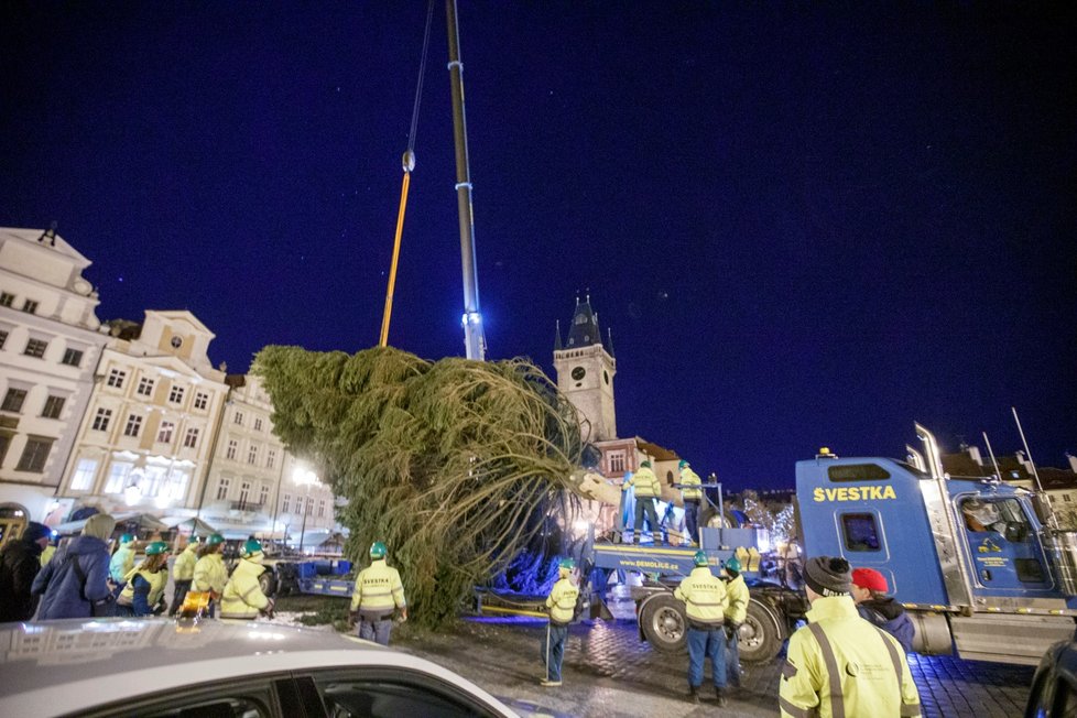 Vánoční strom pro Prahu dorazil v noci na 22. listopadu 2021 do centra Prahy, pracovníci THMP ho následně vztyčili.