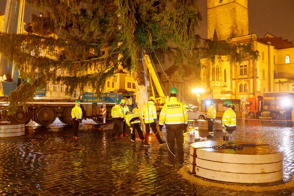 Instalace vánočního stromu pro Prahu na Staroměstském náměstí, 2023.