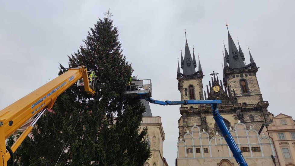 Zdobení vánočního stromu na Staroměstském náměstí. (Praha, 24. listopadu 2021)
