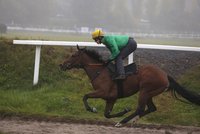 Vsaďte si na sobotní dostihy ve Velké Chuchli: Derniéru obstarají zimní favoriti