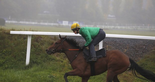 Ilustrační foto. Dostihy ve Velké Chuchli.