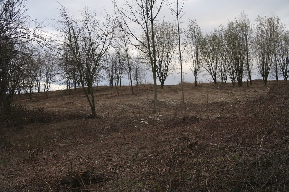 Práce na revitalizaci skládky pokračují bez problémů. Takto vypadal kopec na konci letošní zimy.