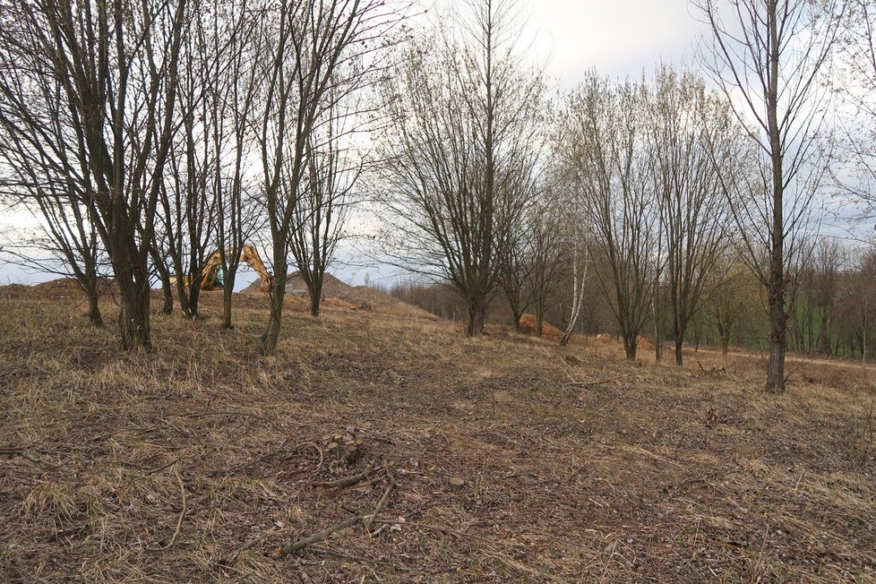 Práce na revitalizaci skládky pokračují bez problémů. Takto vypadal kopec na konci letošní zimy.