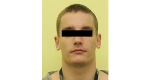 Vězně, který utekl z pracoviště ve Stodůlkách, policisté našli.