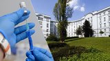 Očkovali i kolemjdoucí! Žena dostala vakcínu v pražské nemocnici: „Přišlo mi to neuvěřitelné“