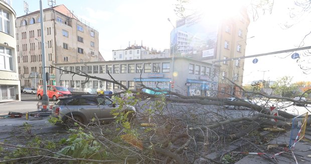 Na ženu v autě spadl kvůli silnému vichru strom. (Praha, 21. října 2021)