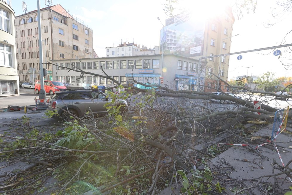 Na ženu v autě spadl kvůli silnému vichru strom. (Praha, 21. října 2021)