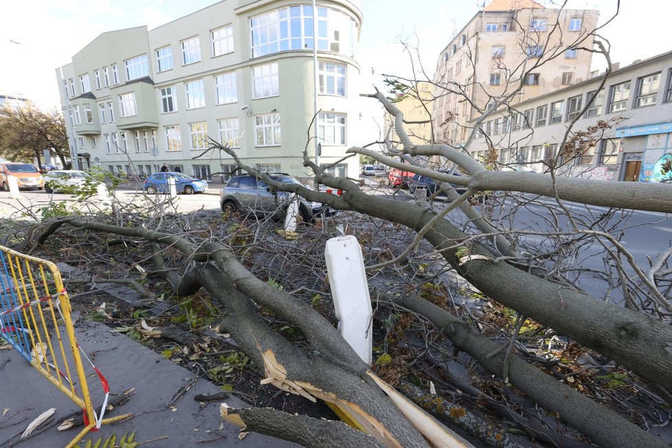 Na ženu v autě spadl kvůli silnému vichru strom. (Praha, 21. října 2021)