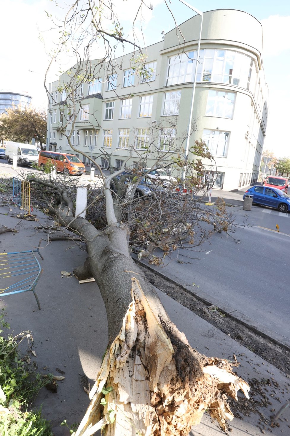 Na ženu v autě spadl kvůli silnému vichru strom. (Praha, 21. října 2021)