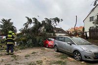 Zimní bouře s blesky vtrhla do Prahy! Lámala stromy a strhávala plechy, přes cestu shodila lampu