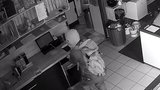 Zloděj řádil v Nehvizdech! Do restaurace se vloupal třikrát, ukradl věci za 40 tisíc