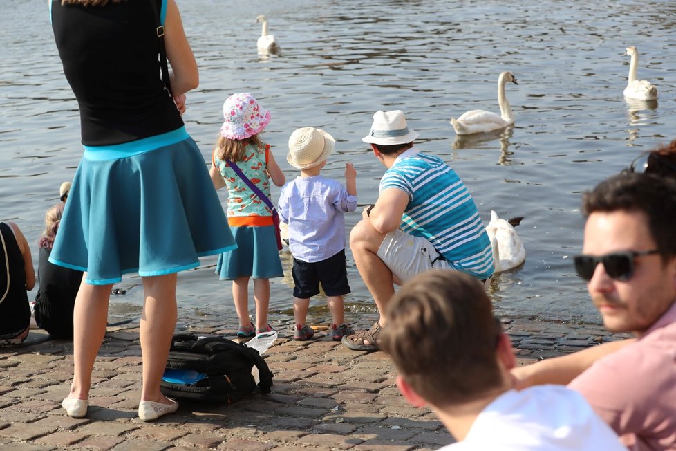 V Česku má být i letos nadprůměrně tropických dní