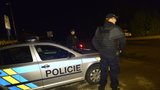 Agresivní cizinec napadl strážníka v centru Prahy: Předtím si vybíjel zlost na keři