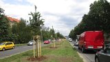 V Patočkově ulici komplikují stavební práce dopravu: Praha 6 chystá nová opatření