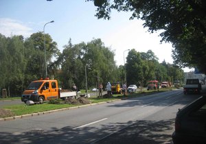 Výsadba dřevin v Patočkově ulici.