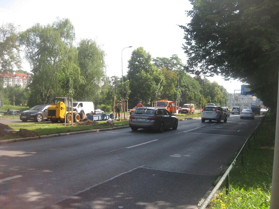 Výsadba dřevin v Patočkově ulici