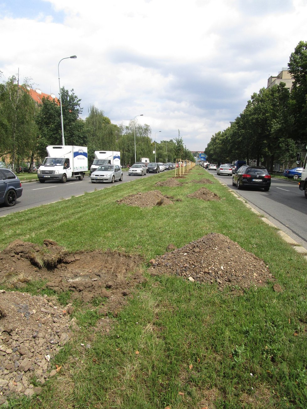 Výsadba dřevin v Patočkově ulici.