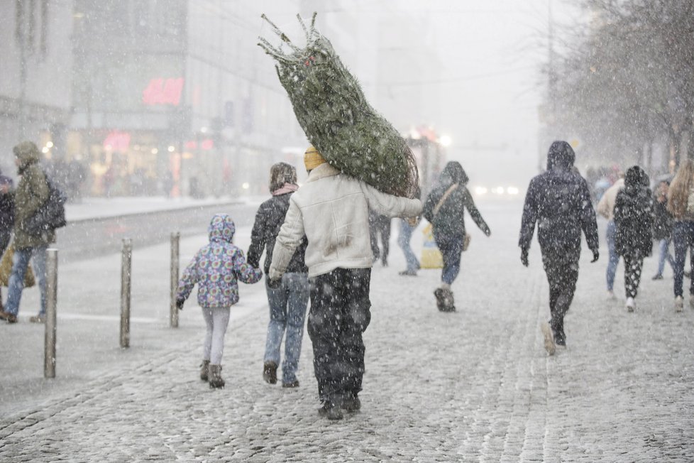 I do Prahy dorazilo vánoční počasí. Hlavní město přikryla vrstva čerstvého sněhu (17.12.2017).