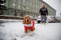 Počasí v Praze: Až 10 stupňů a déšť, o víkendu nasněží