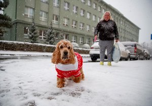 Zimní počasí v Praze. (26. listopadu 2023)