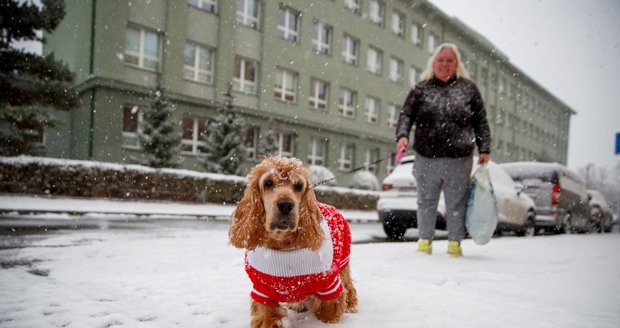 Zimní počasí v Praze. (26. listopadu 2023)