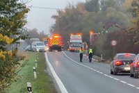 Dopravní komplikace u Zlonína: Náklaďák srazil dva koně, jeden z nich na místě zemřel