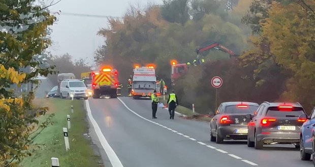 Nehoda u Zlonína, při které zemřel kůň.