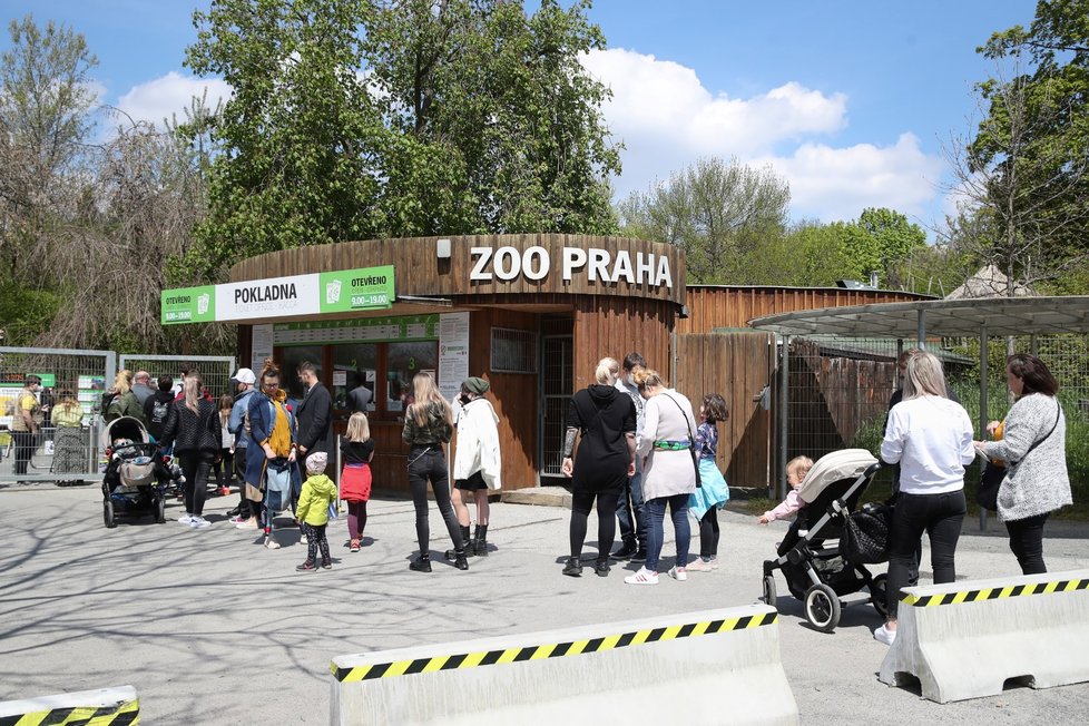 Počasí vylákalo davy do pražské Zoo (8. 5. 2021)