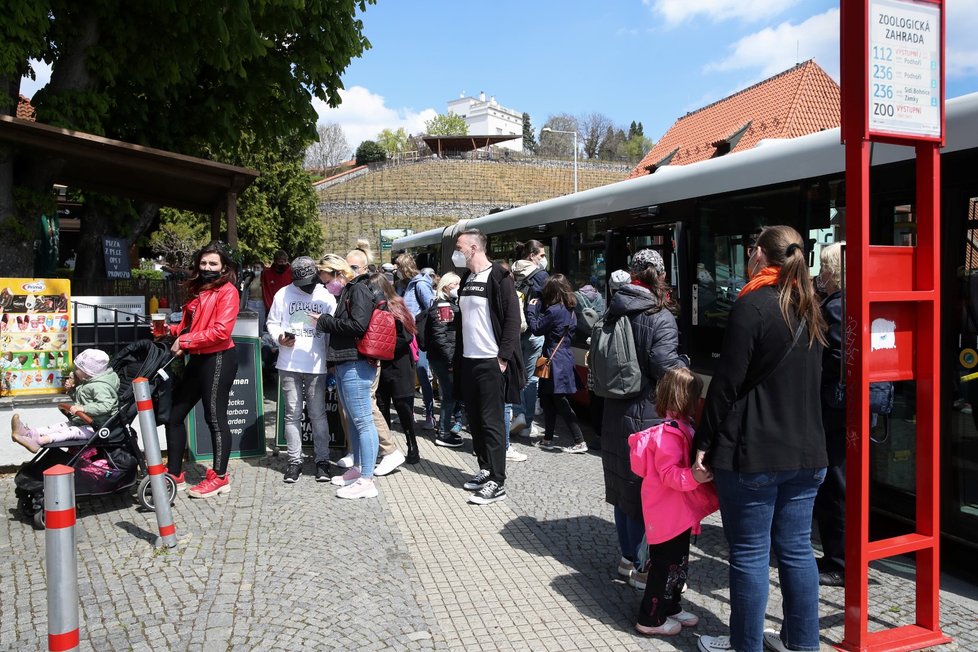 Počasí vylákalo davy do pražské Zoo (8.5.2021)