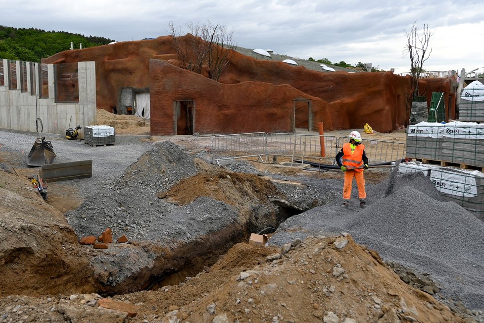 V pražské zoologické zahradě pokračovala 26. května 2021 stavba nového pavilonu goril. Otevřít by se měl na podzim roku 2022.