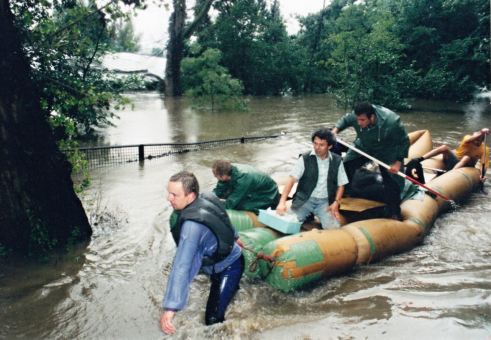 Povodeň 2002: Uspané gorily zaměstnanci zoo evakuovali na člunech.