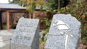 Pavilon získal svůj název podle štědrého dárce Stanislava Rákose.