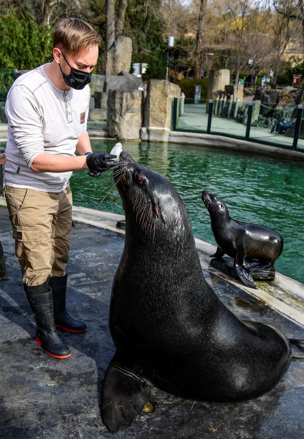 Velikonoční krmení zvířat 5. dubna 2021 v pražské zoo.