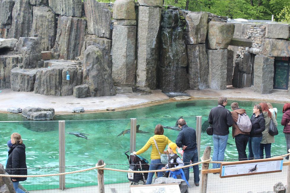 V zoologické zahradě se můžete těšit na nejrůznější zvířata