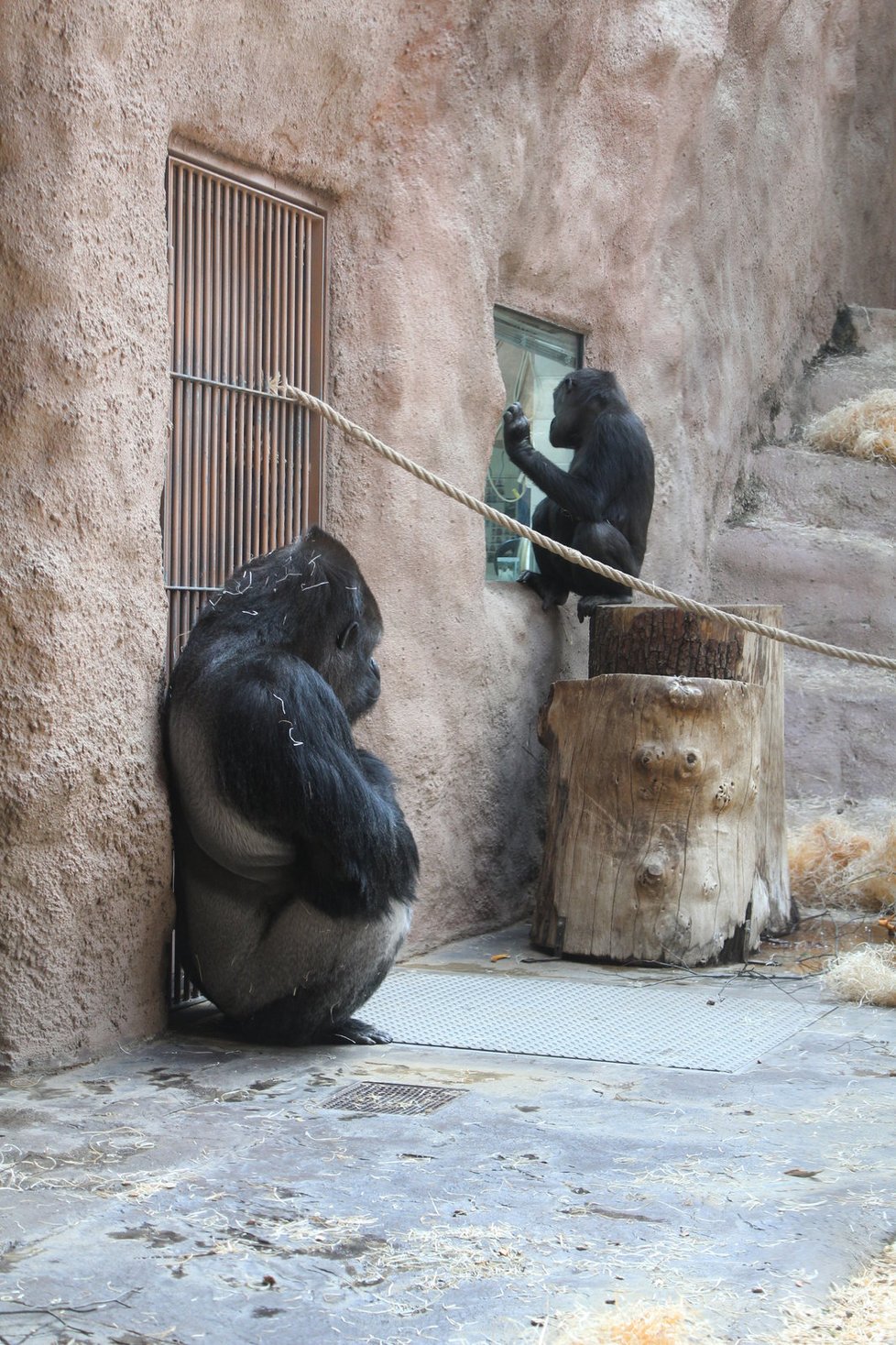 V zoologické zahradě se můžete těšit na nejrůznější zvířata