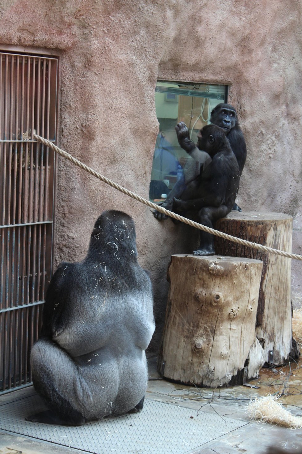 V zoologické zahradě se můžete těšit na nejrůznější zvířata