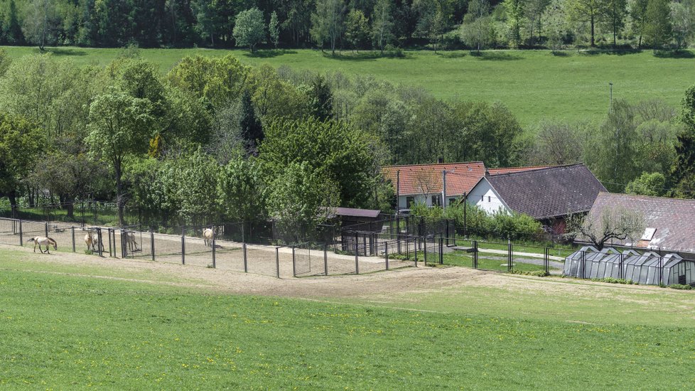 Ohrady a zázemí pro koně Převalské v Dolním Dobřejově jsou v blízkosti hospodářských staveb a obydlí chovatelů, kteří se o koně starají.