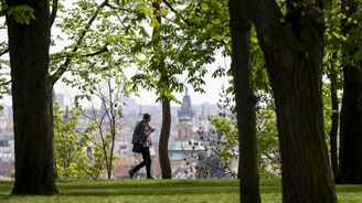Single v Praze? Nejdražší kombinace, vysoká mzda nestačí. Jinde v Česku člověku po výplatě zbude i dvakrát víc Single v Praze? Nejdražší kombinace, vysoká mzda nestačí. Jinde v Česku člověku po výplatě zbude i dvakrát víc