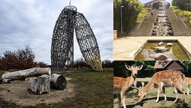 Magistrát vytvořit seznam méně frekventovaných míst v Praze, kam se vydat na výlet. Pražany zve třeba na rozhlednu Doubravka nebo za zvířaty do zookoutků.