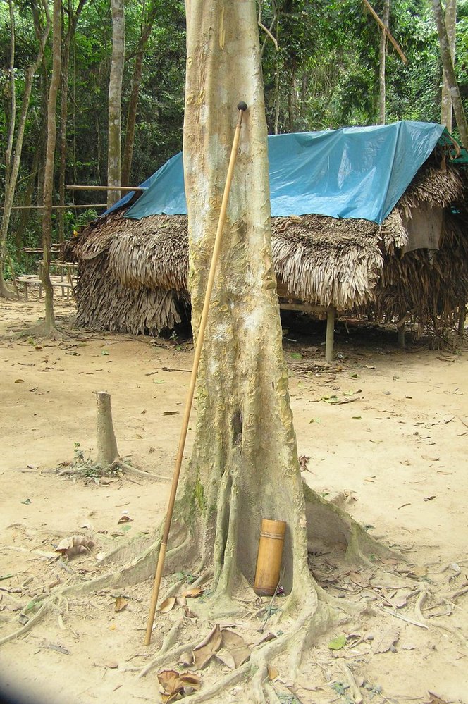Přístřešek Bateků v malajském pralese