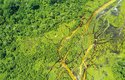 Letecký pohled na deštný prales v Kongu