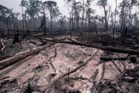 Dřevorubci v Amazonii upálili holčičku, aby vyhnali její kmen!